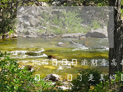 拍拍貸賠標 逾期率高(拍拍貸逾期200多天說是起訴了是真的嗎)