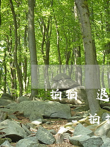 拍拍貸退出了網(wǎng)貸還需要還款嗎-拍拍貸退出了網(wǎng)貸還需要還款嗎安全嗎