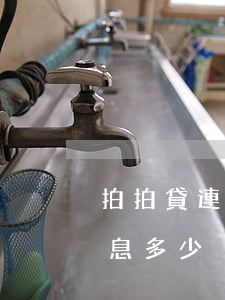 拍拍貸連本帶利欠3萬(拍拍貸借3500 利息多少)
