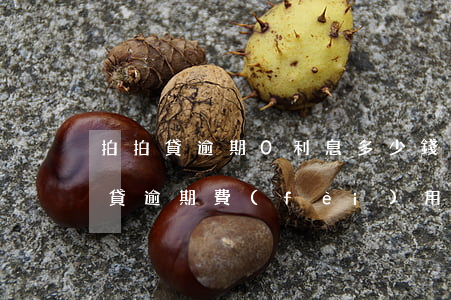拍拍貸逾期0利息多少錢(qián)(拍拍貸逾期費(fèi)用太高,不還逾期利息可以嗎)
