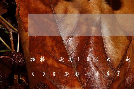 拍拍貸逾期100天會起訴嗎(欠拍拍貸10000逾期一年多了 會起訴我嗎)