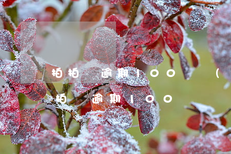 拍拍貸逾期100萬會(huì)起訴嗎（拍拍貸逾期100萬）