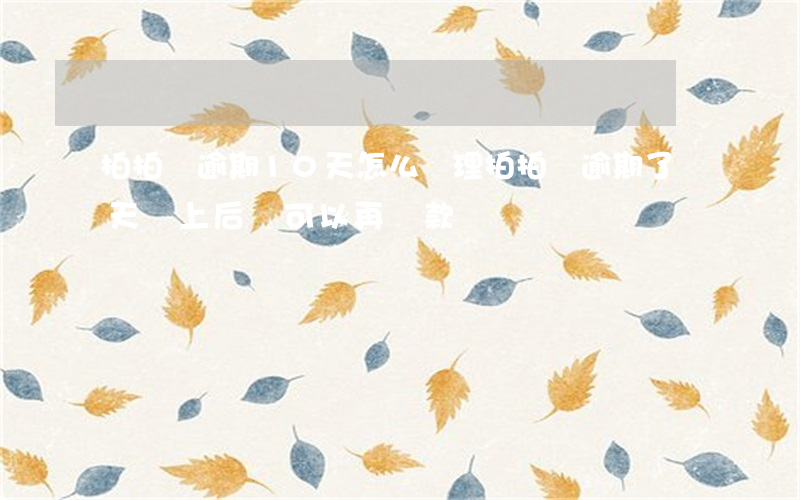 拍拍貸逾期10天怎么處理(拍拍貸逾期了幾天還上后,還可以再貸款嗎?)