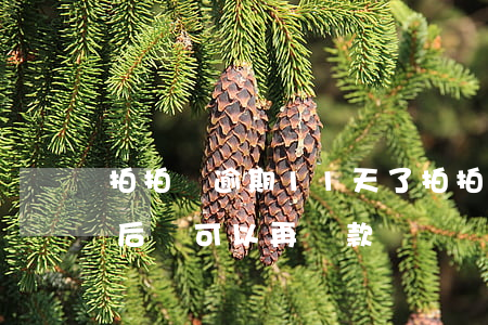 拍拍貸逾期11天了(拍拍貸逾期了幾天還上后,還可以再貸款嗎?)
