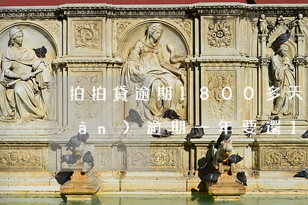 拍拍貸逾期1800多天(拍拍貸欠一萬(wàn)逾期一年要還16000這個(gè)合法)