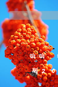 拍拍貸逾期1萬(wàn)被起訴(拍拍貸逾期200多天說(shuō)是起訴了是真的嗎)