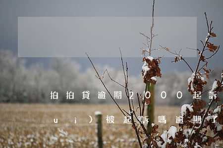 拍拍貸逾期2000起訴(拍拍貸逾期會(huì)被起訴嗎逾期了一百多天)