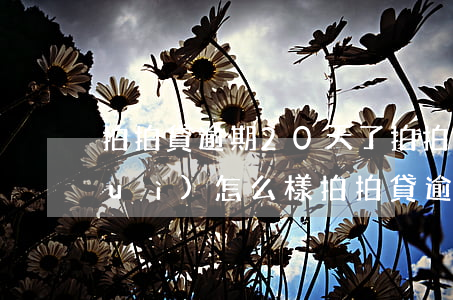 拍拍貸逾期20天了(拍拍貸逾期兩天會(huì)怎么樣?拍拍貸逾期后果介紹)