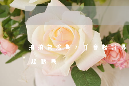 拍拍貸逾期2千會起訴嗎 拍拍貸逾期2千會起訴嗎