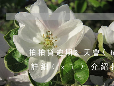拍拍貸逾期2天會(huì)有什么后果？詳細(xì)介紹拍怕貸逾期影響