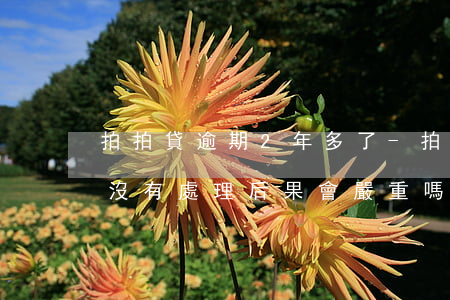 拍拍貸逾期2年多了-拍拍貸逾期兩年了,還沒有處理,后果會嚴重嗎