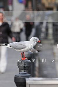 拍拍貸逾期2年打電話說只還本金-拍拍貸逾期2年打電話說只還本金是真的嗎