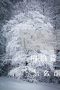 拍拍貸逾期34天怎么還(拍拍貸逾期34天怎么還)