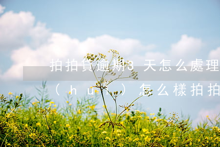 拍拍貸逾期3天怎么處理(拍拍貸逾期2天會(huì)怎么樣?拍拍貸逾期后果介紹)
