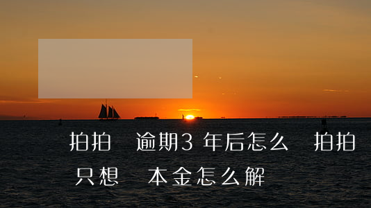 拍拍貸逾期3年后怎么還(拍拍貸逾期三年多,只想還本金怎么解決)