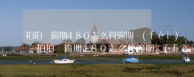 拍拍貸逾期480怎么算逾期費(fèi)-拍拍貸逾期480怎么算逾期費(fèi)的