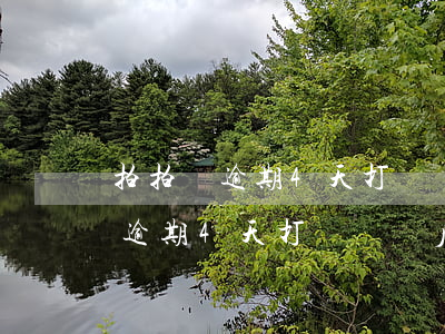 拍拍貸逾期4天打電話說后果自負-拍拍貸逾期4天打電話說后果自負是真的嗎