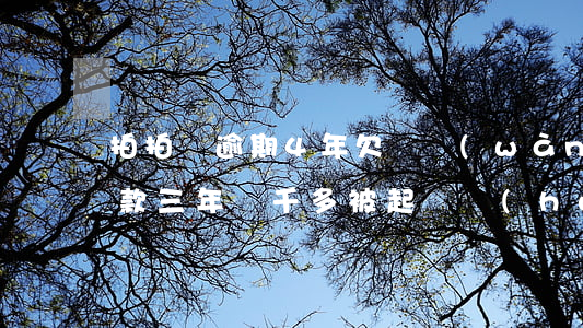 拍拍貸逾期4年欠兩萬(wàn)(拍拍貸欠款三年兩千多被起訴會(huì)怎么樣)