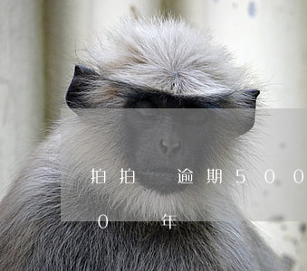 拍拍貸逾期5000兩年(拍拍貸逾期5000兩年)