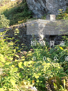 拍拍貸逾期5000會被起訴嗎 欠拍拍貸5000 逾期了會被真的起訴嗎