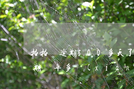 拍拍貸逾期500多天了(拍拍貸5000逾期兩年多現(xiàn)在要我還1多合法嗎)