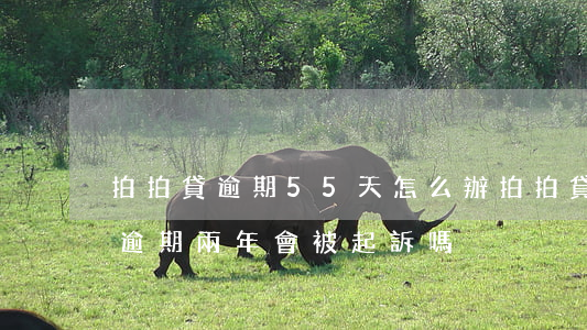 拍拍貸逾期55天怎么辦(拍拍貸欠款一萬五逾期兩年會被起訴嗎)