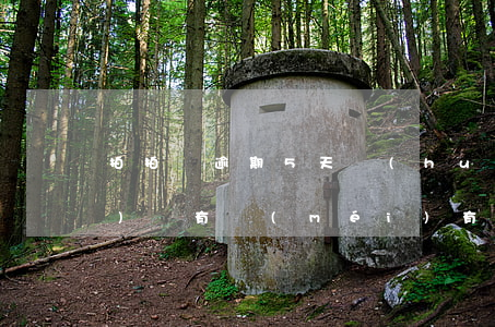 拍拍貸逾期5天會(huì)上門(mén)嗎(有沒(méi)有拍拍貸逾期半年被上門(mén)催收的2020)