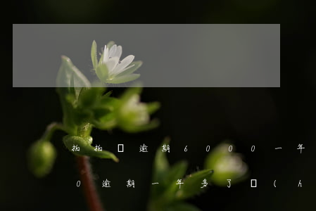 拍拍貸逾期6000一年(欠拍拍貸10000逾期一年多了 會(huì)起訴我嗎)