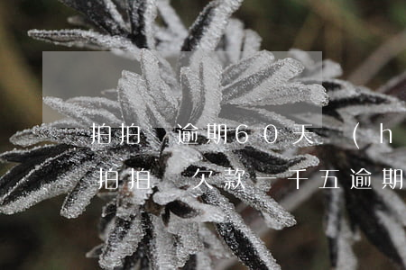 拍拍貸逾期60天會(huì)被起訴嗎-拍拍貸欠款一千五逾期兩年會(huì)被起訴嗎