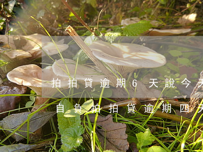 拍拍貸逾期6天,說今天晚上還不進去就后果自負（拍拍貸逾期四天怎么辦）