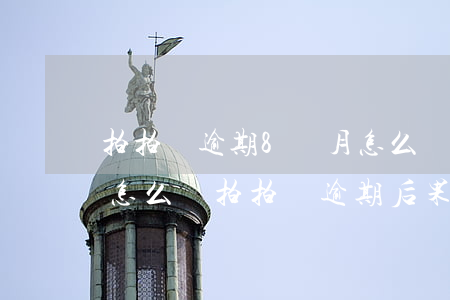 拍拍貸逾期8個月怎么辦(拍拍貸逾期兩天會怎么樣?拍拍貸逾期后果介紹)