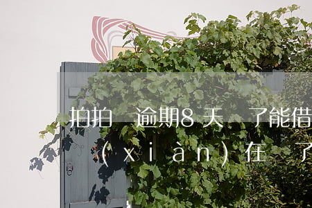 拍拍貸逾期8天還了能借(拍拍貸以前逾期了,現(xiàn)在還了還能不能借錢)