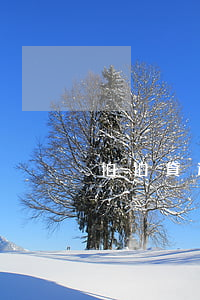 拍拍貸逾期9天會怎么樣(拍拍貸超過10天)