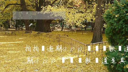 拍拍貸逾期app關閉還款渠道-拍拍貸逾期app關閉還款渠道是真的嗎