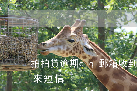 拍拍貸逾期qq郵箱收到(拍拍貸發(fā)來短信)
