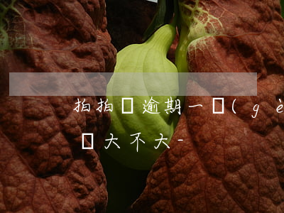 拍拍貸逾期一個(gè)小時(shí)影響大不大-