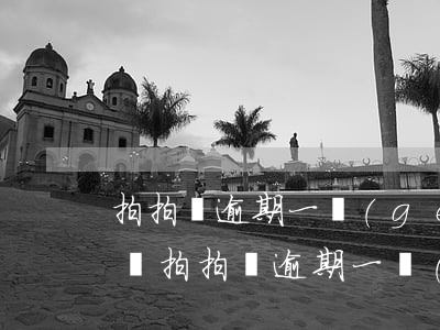 拍拍貸逾期一個(gè)月了沒(méi)還(拍拍貸逾期一個(gè)月還上后,還可以再貸款嗎?)