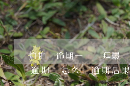 拍拍貸逾期一個禮拜最嚴重的后果-拍拍貸逾期會怎么樣?逾期后果嚴重嗎?