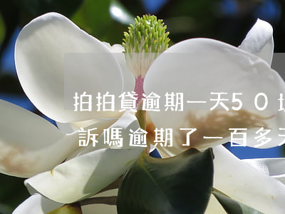 拍拍貸逾期一天50塊錢(拍拍貸逾期會被起訴嗎逾期了一百多天)