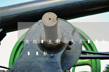 拍拍貸逾期一天及時還款(拍拍貸逾期一天及時還款)