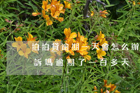 拍拍貸逾期一天會怎么辦(拍拍貸逾期會被起訴嗎逾期了一百多天)