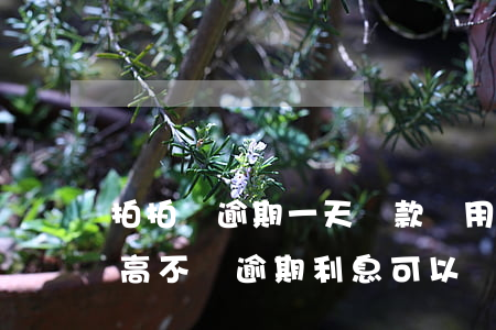 拍拍貸逾期一天還款費用(拍拍貸逾期費用太高,不還逾期利息可以嗎)