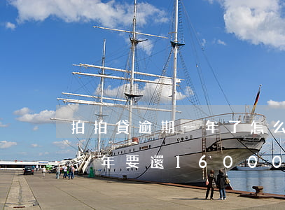 拍拍貸逾期一年了怎么解(拍拍貸欠一萬逾期一年要還16000這個合法)