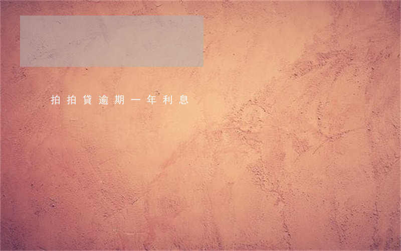 拍拍貸逾期一年利息