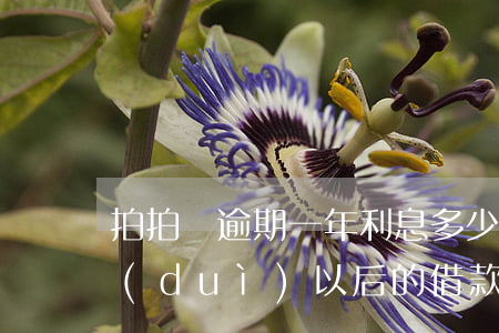 拍拍貸逾期一年利息多少(拍拍貸逾期一天對(duì)以后的借款有影響嗎)