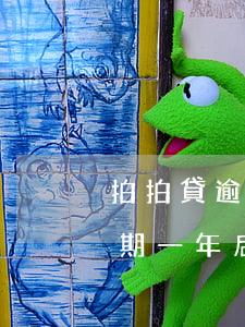 拍拍貸逾期一年后可以分期還嗎-拍拍貸逾期一年后可以分期還嗎