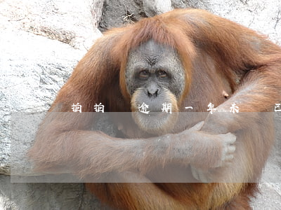 拍拍貸逾期一年未還，已被起訴，如何處理？