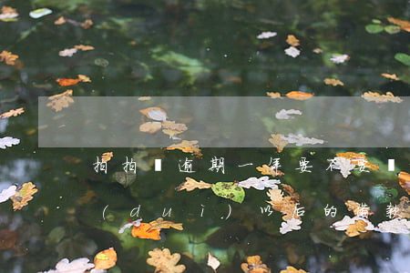 拍拍貸逾期一年要不要還(拍拍貸逾期2天對(duì)以后的借款有影響嗎)