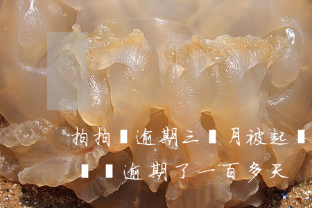 拍拍貸逾期三個月被起訴(拍拍貸逾期會被起訴嗎逾期了一百多天)