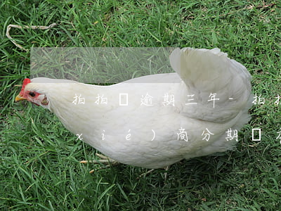 拍拍貸逾期三年-拍拍貸逾期三年可以協(xié)商分期還本金嗎